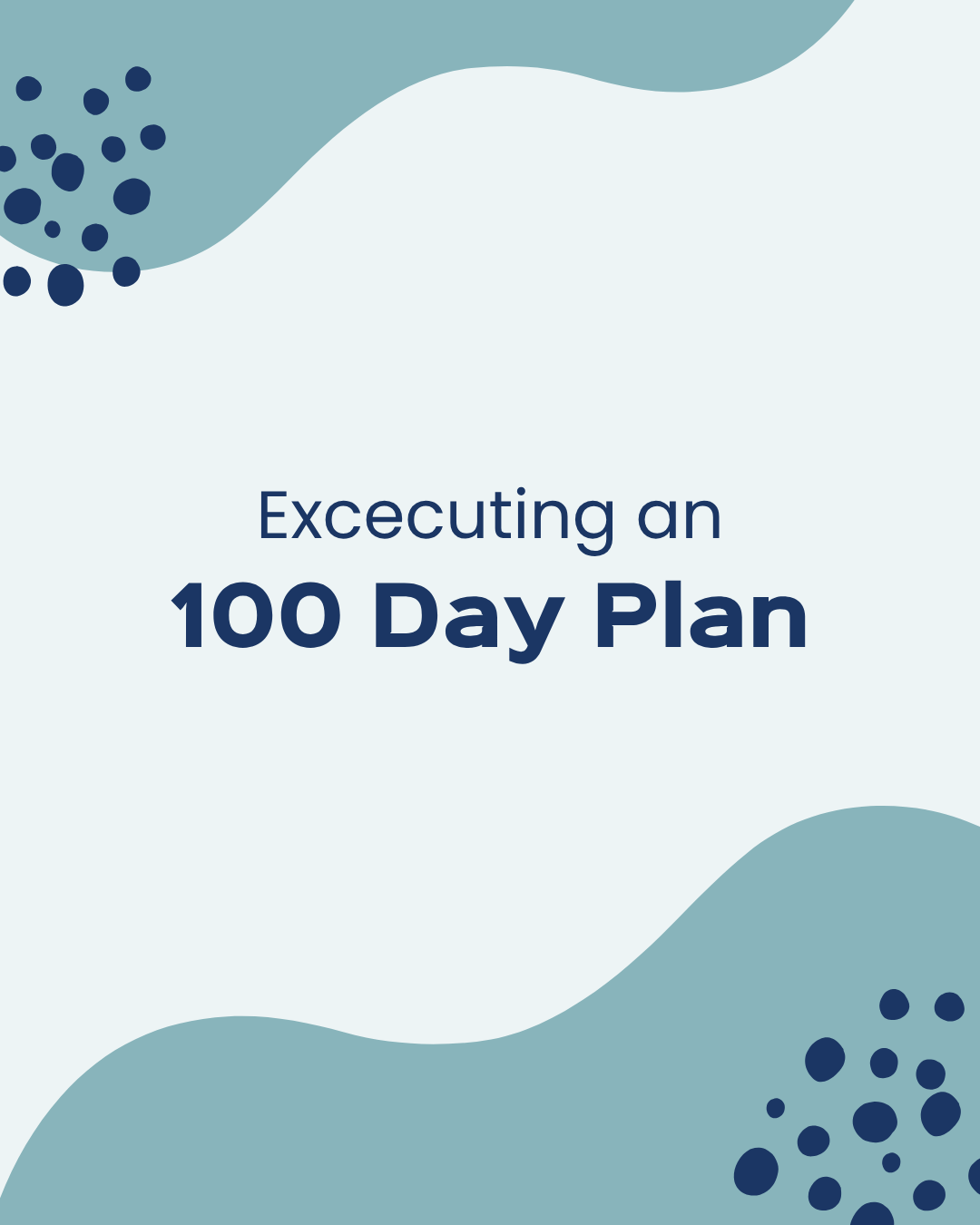Executing an 100 Day Plan Executing an 100 Day Plan